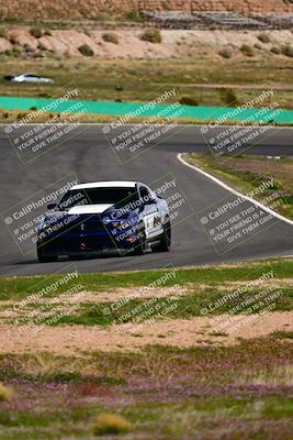 media/Feb-25-2024-Speed Ventures (Sun) [[b9a2a97a4d]]/Mustang Drivers Club/Session 3 (Turn 2)/